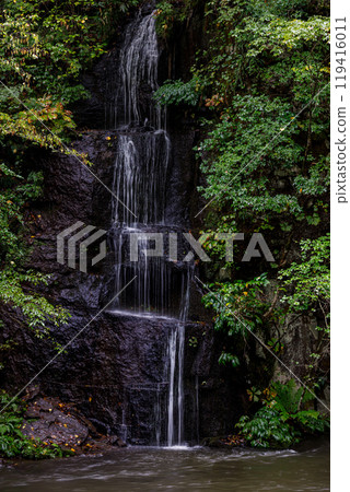 A small waterfall surrounded by green trees A small waterfall surrounded by green trees 119416011