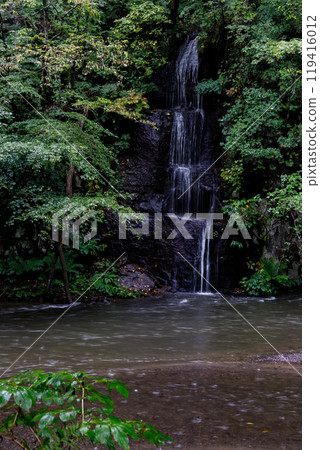 A small waterfall surrounded by green trees A small waterfall surrounded by green trees 119416012