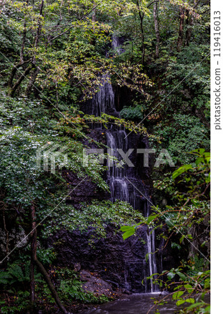 A small waterfall surrounded by green trees 119416013
