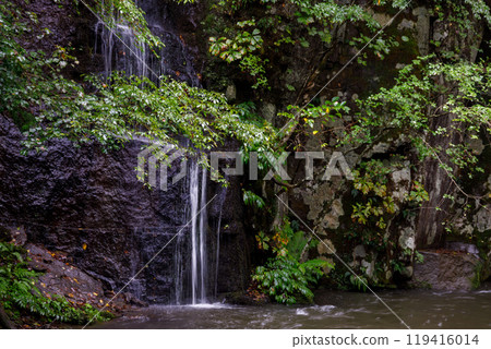 A small waterfall surrounded by green trees 119416014
