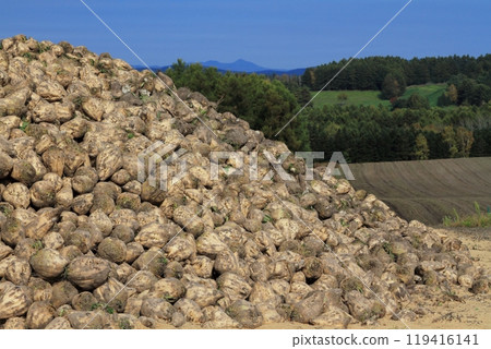 Harvested beat Harvested beat 119416141