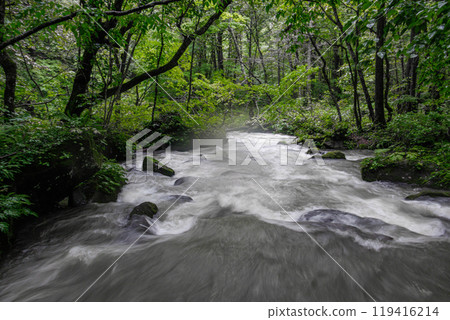 Oirase Gorge swollen with rain 119416214