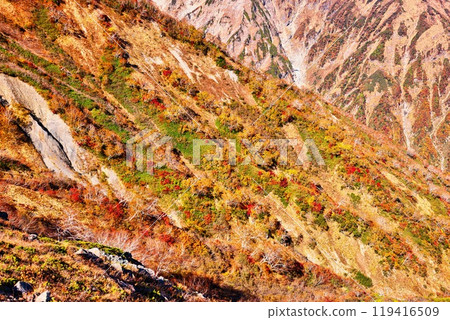 八方尾根在北阿爾卑斯山的秋葉 八方尾根在北阿爾卑斯山的秋葉 119416509