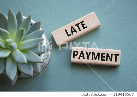 Late payment symbol. Concept word Late payment on wooden blocks. Beautiful grey green background with succulent plant. Business and Late payment concept. Copy space Late payment symbol. Concept word Late payment on wooden blocks. Beautiful grey green background with succulent plant. Business and Late payment concept. Copy space 119416567