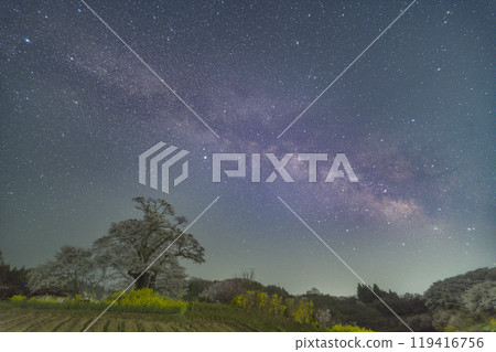 鹽崎櫻花和銀河 119416756