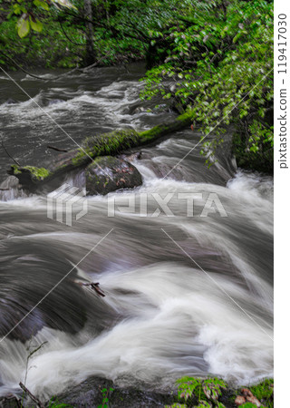 The Oirase Gorge, swollen with water due to heavy rain The Oirase Gorge, swollen with water due to heavy rain 119417030