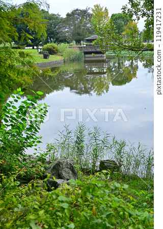 初秋的色彩開始變化，桶川市大池湖、城山公園 119417231