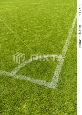 Green grass on sports field background. Sports ground 119417380