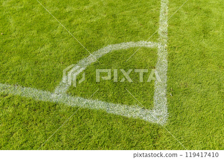 Green grass on sports field background. Sports ground Green grass on sports field background. Sports ground 119417410