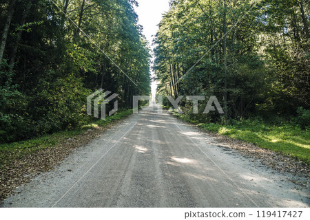 Forest dirt path. Forest and nature with empty road Forest dirt path. Forest and nature with empty road 119417427