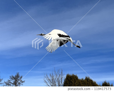 Tan top Tan top 119417573