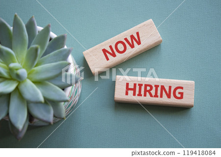 Now Hiring symbol. Concept word Now Hiring on wooden blocks. Beautiful grey green background with succulent plant. Business and Now Hiring concept. Copy space 119418084