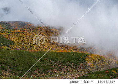 穿過紅葉森林的馬鞍山 119418137