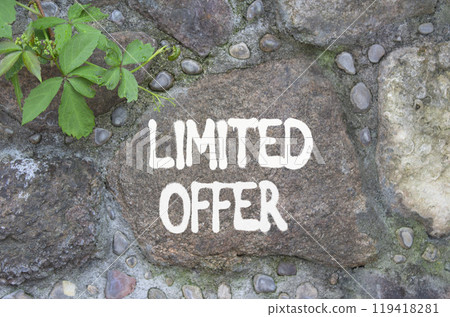 Limited Offer symbol. Concept word Limited Offer on stone wall. Beautiful stone background. Business and Limited Offer concept. Copy space Limited Offer symbol. Concept word Limited Offer on stone wall. Beautiful stone background. Business and Limited Offer concept. Copy space 119418281