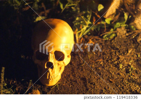 Creepy skeleton Creepy skeleton 119418336