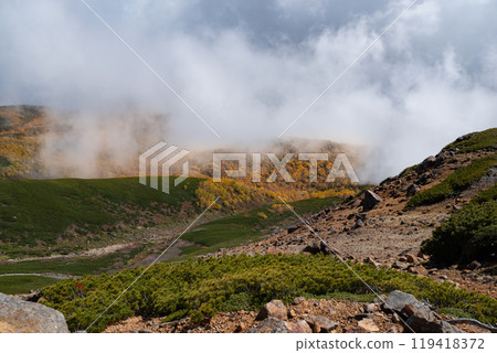 Passing through the autumnal forest at Mt. Norikura Passing through the autumnal forest at Mt. Norikura 119418372