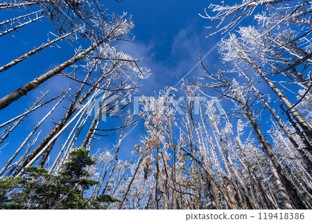 Cloud ice of Kita Yatsugatake 119418386
