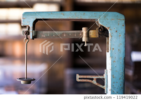 埼玉縣埼玉市浦和生活博物館民花園 埼玉縣埼玉市浦和生活博物館民花園 119419022