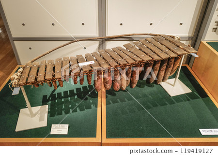 濱松樂器博物館常設展覽樂器 119419127