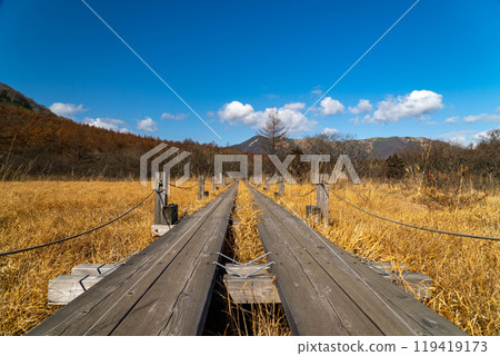 Numappara Park in late autumn 119419173