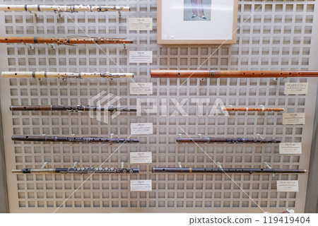 濱松樂器博物館常設展覽樂器 119419404
