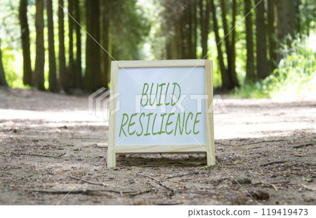 Build Resilience symbol. Build Resilience white chalk blackboard. Beautiful forest background. Business and Build Resilience concept. Copy space. Build Resilience symbol. Build Resilience white chalk blackboard. Beautiful forest background. Business and Build Resilience concept. Copy space. 119419473