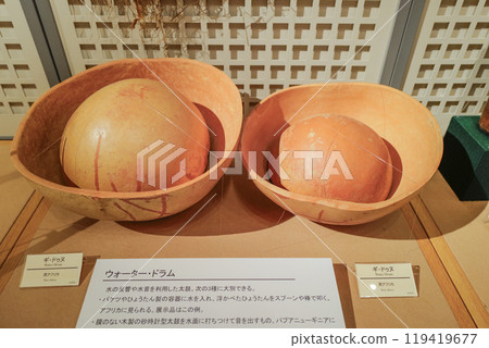 濱松樂器博物館常設展覽樂器 119419677