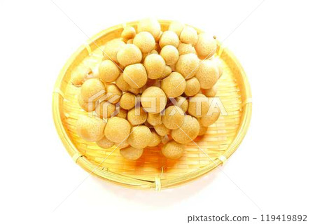 Bunashimeji mushroom 119419892