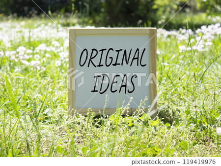 Original ideas symbol. Concept word Original ideas on white chalk background. Beautiful meadow background. Business and Original ideas concept. Copy space 119419976