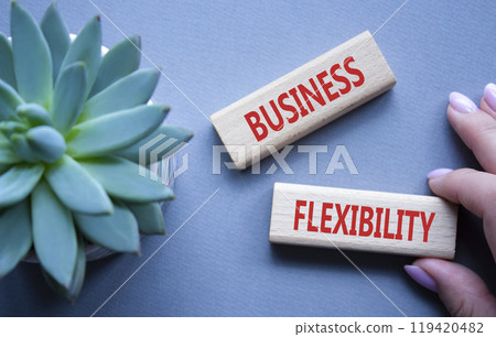 Business Flexibility symbol. Concept word Business Flexibility on wooden blocks. Beautiful grey background with succulent plant. Business and Business Flexibility concept. Copy space Business Flexibility symbol. Concept word Business Flexibility on wooden blocks. Beautiful grey background with succulent plant. Business and Business Flexibility concept. Copy space 119420482