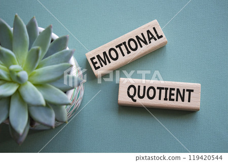 Emotional Quotient symbol. Wooden blocks with words Emotional Quotient. Beautiful grey green background with succulent plant. Business and Emotional Quotient concept. Copy space. Emotional Quotient symbol. Wooden blocks with words Emotional Quotient. Beautiful grey green background with succulent plant. Business and Emotional Quotient concept. Copy space. 119420544