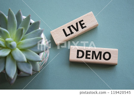 Live Demo symbol. Concept word Live Demo on wooden blocks. Beautiful grey green background with succulent plant. Business and Live Demo concept. Copy space Live Demo symbol. Concept word Live Demo on wooden blocks. Beautiful grey green background with succulent plant. Business and Live Demo concept. Copy space 119420545