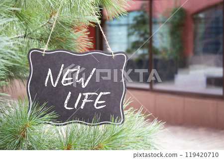 New life symbol. Concept words New life on black chalk background. Beautiful background with shop and tree. Business and New life concept. Copy space. New life symbol. Concept words New life on black chalk background. Beautiful background with shop and tree. Business and New life concept. Copy space. 119420710