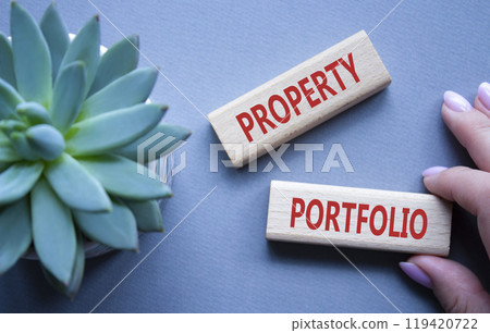Property Portfolio symbol. Concept word Property Portfolio on wooden blocks. Businessman hand. Beautiful grey background with succulent plant. Business and Property Portfolio concept. Copy space 119420722