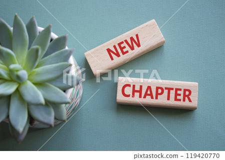 New Chapter symbol. Concept word New Chapter on wooden blocks. Beautiful grey green background with succulent plant. Business and New Chapter concept. Copy space 119420770