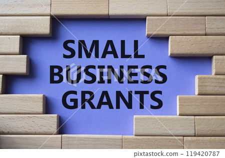 Small Business Grants symbol. Concept words Small Business Grants on wooden blocks. Beautiful purple background. Business and Small Business Grants concept. Copy space 119420787