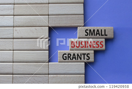 Small Business Grants symbol. Concept words Small Business Grants on wooden blocks. Beautiful purple background. Business and Small Business Grants concept. Copy space 119420938