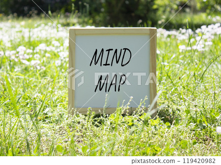 Mind Map symbol. Concept word Mind Map on white chalk background. Beautiful meadow background. Business and Mind Map concept. Copy space 119420982