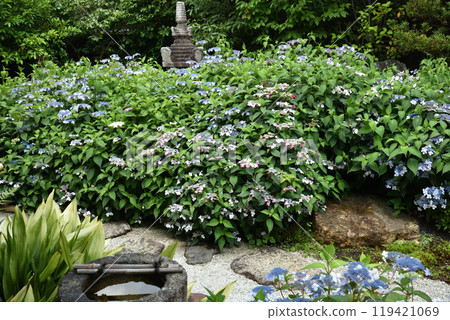 Reigen-in Temple Garden "Kakumei-Kuko" Sweet tea and stone tower 119421069
