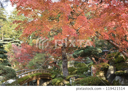Autumn in the Kyoto Imperial Palace: Maple trees near the inner garden and Tsuchihashi bridge 119421514