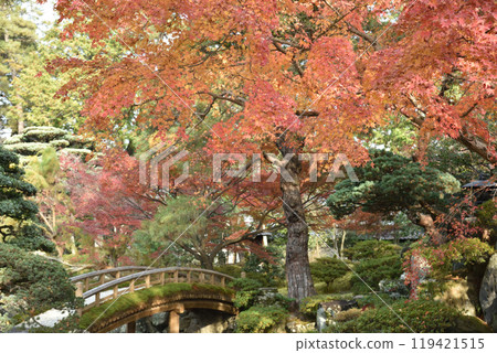Autumn in the Kyoto Imperial Palace: Maple trees near the inner garden and Tsuchihashi bridge 119421515