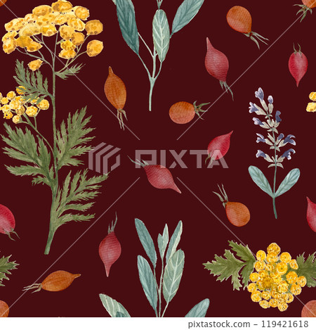 Sage, blue tansy, rose hip seamless pattern on dark burgundy. Hand painted in watercolor. Herbal shop art for packages of an essential oil, herbal teas, infusions, wallpaper, wrapping paper, textile Sage, blue tansy, rose hip seamless pattern on dark burgundy. Hand painted in watercolor. Herbal shop art for packages of an essential oil, herbal teas, infusions, wallpaper, wrapping paper, textile 119421618