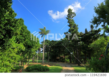 The tropical atmosphere of Miyakojima Tropical Botanical Garden 119421690