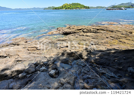 Kurushima Castle of the Murakami Navy, off the coast of Hatohama, Imabari City, Ehime Prefecture 119421724