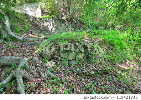 Kurushima Castle of the Murakami Navy, off the coast of Hatohama, Imabari City, Ehime Prefecture 119421738