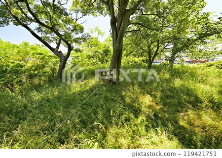 Kurushima Castle of the Murakami Navy, off the coast of Hatohama, Imabari City, Ehime Prefecture Kurushima Castle of the Murakami Navy, off the coast of Hatohama, Imabari City, Ehime Prefecture 119421751