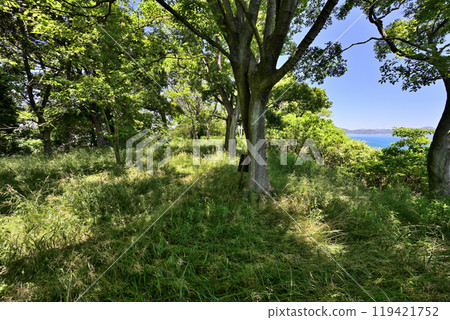 Kurushima Castle of the Murakami Navy, off the coast of Hatohama, Imabari City, Ehime Prefecture 119421752