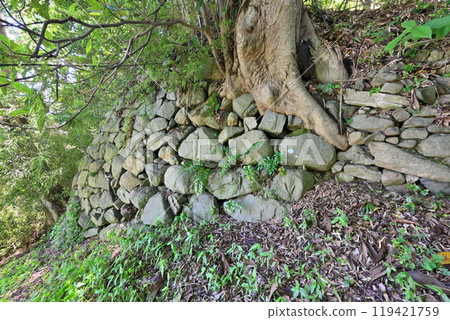 Kurushima Castle of the Murakami Navy, off the coast of Hatohama, Imabari City, Ehime Prefecture Kurushima Castle of the Murakami Navy, off the coast of Hatohama, Imabari City, Ehime Prefecture 119421759