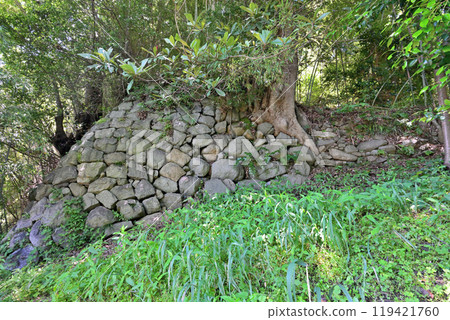 Kurushima Castle of the Murakami Navy, off the coast of Hatohama, Imabari City, Ehime Prefecture 119421760