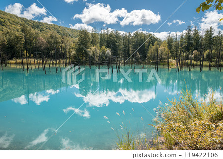 【美瑛町白金、藍天下的藍色池塘與水鏡】 【美瑛町白金、藍天下的藍色池塘與水鏡】 119422106